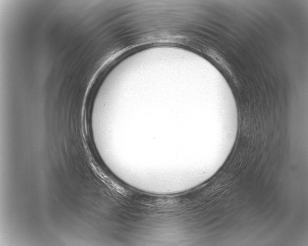 X0000051921080200507222128