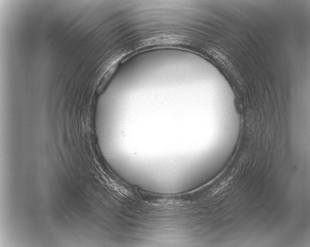 X0000051921081200507222128