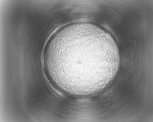 X0000051921083200507222128