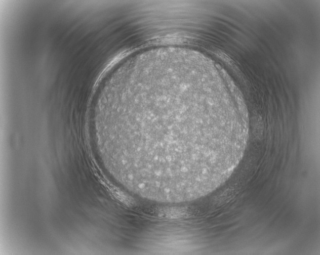 X0000051921086200507222128