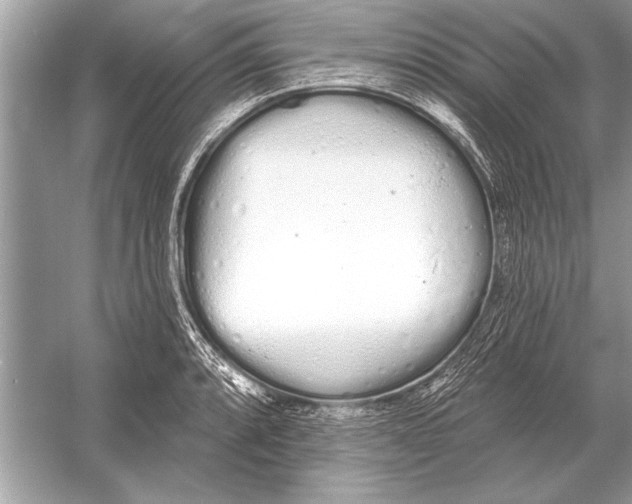 X0000051921088200507222128