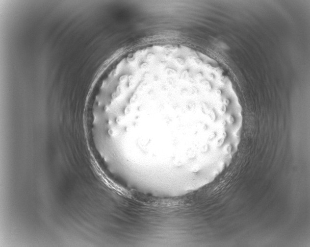 X0000051921090200507222128