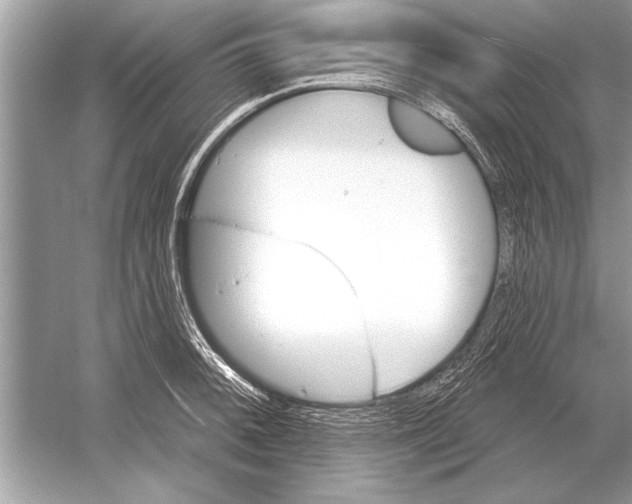 X0000051921092200507222128