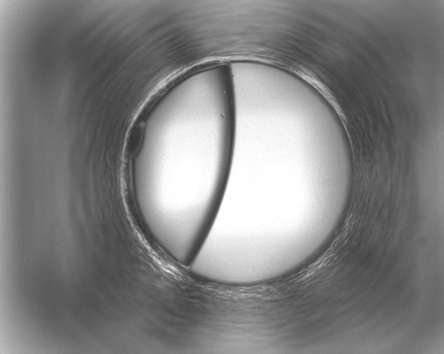 X0000051921093200507222128