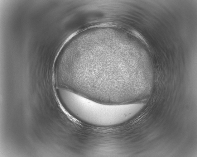 X0000051921095200507222128