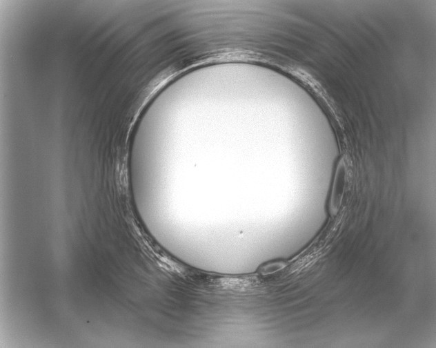 X0000051921097200507222128