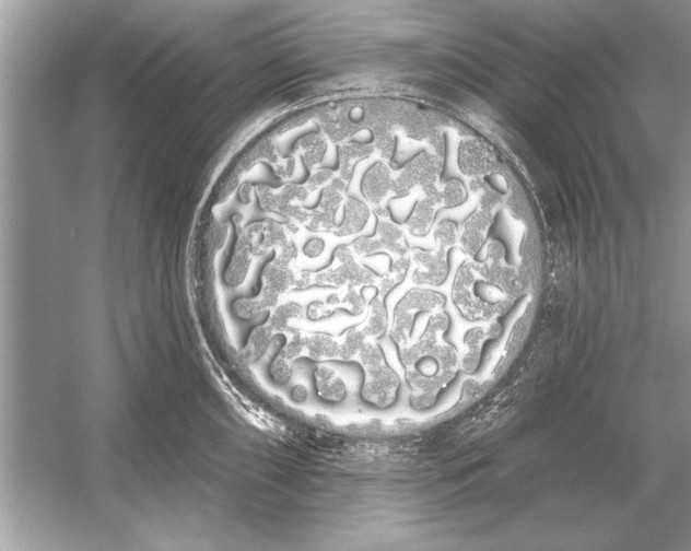 X0000051921098200507222128