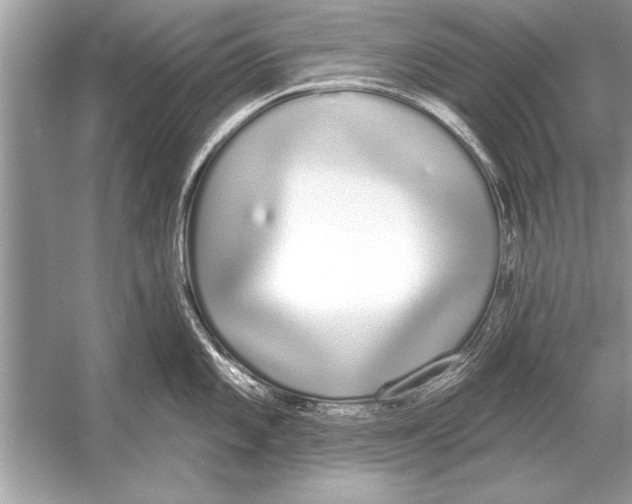 X0000051921101200507222128