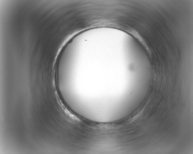 X0000051921102200507222128