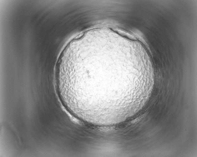 X0000051921103200507222128