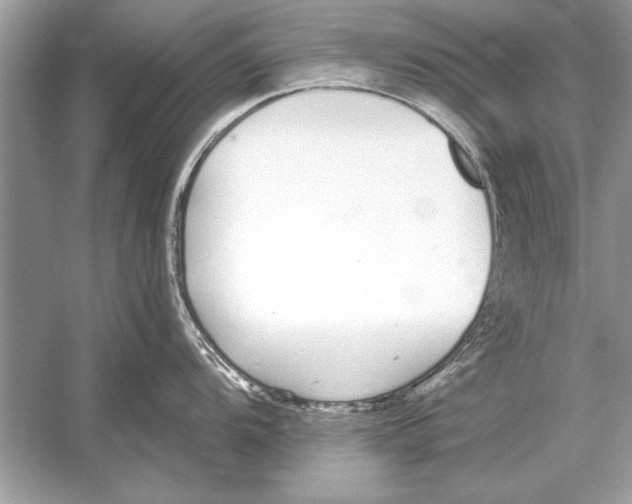 X0000051921104200507222128