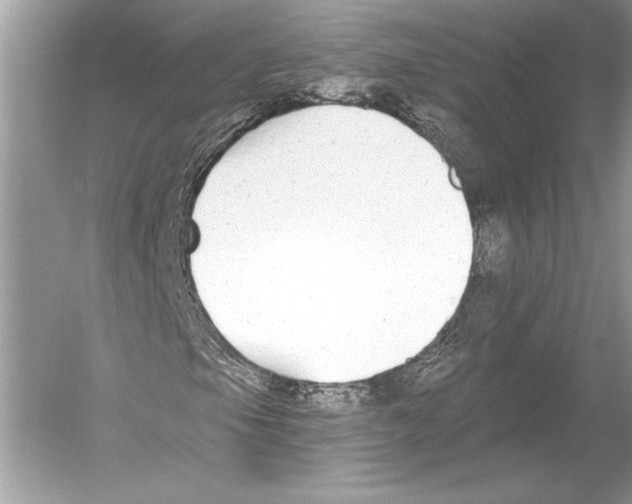 X0000051921105200507222127