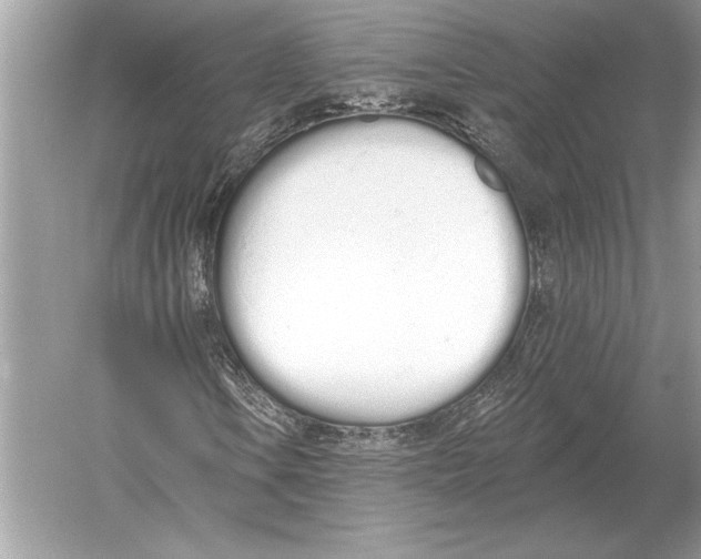 X0000051921106200507222127