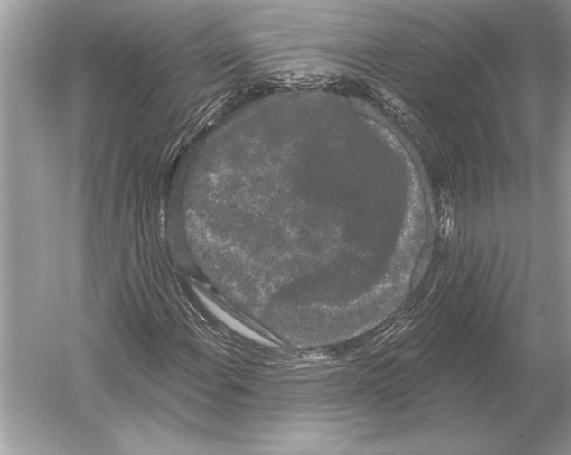 X0000051921108200507222127