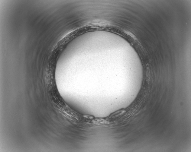 X0000051921112200507222127