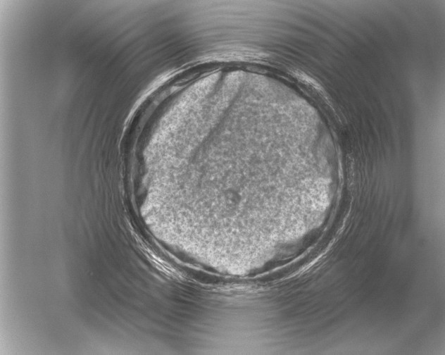 X0000051921114200507222127