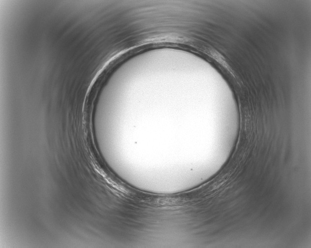 X0000051921116200507222127