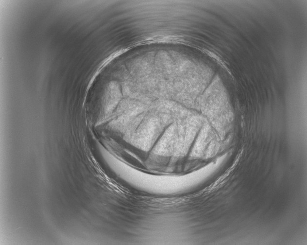 X0000051921117200507222127