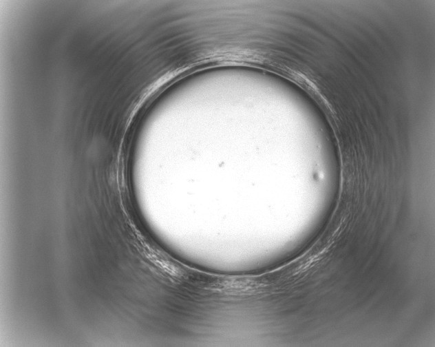 X0000051921125200507222127