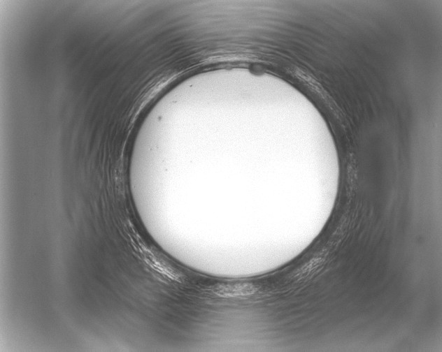 X0000051921129200507222127