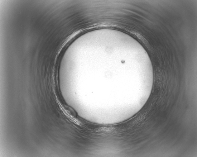 X0000051921134200507222127