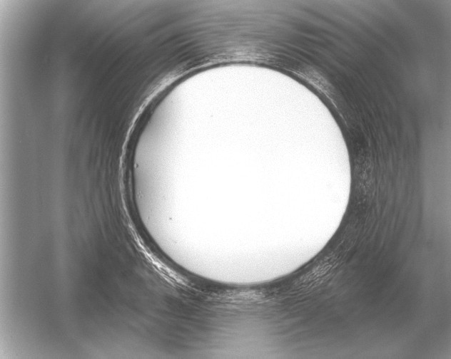 X0000051921135200507222127