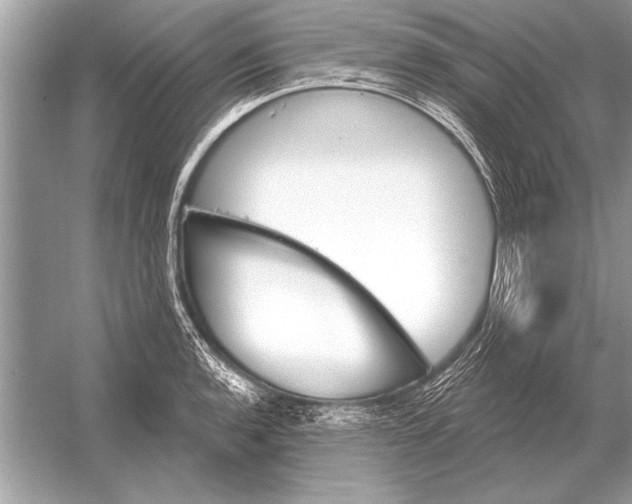 X0000051921136200507222127