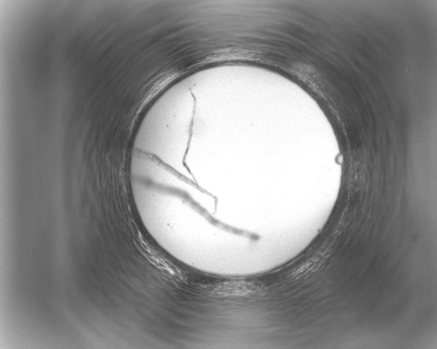 X0000051921137200507222127