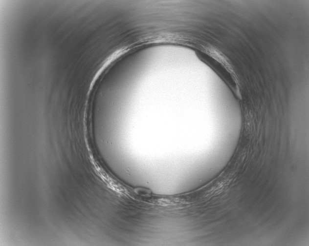 X0000051921138200507222127