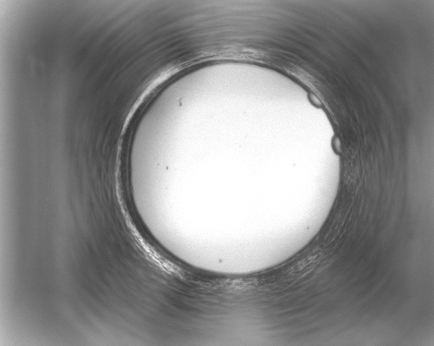 X0000051921139200507222127