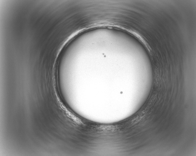 X0000051921142200507222127