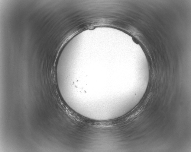 X0000051921145200507222128