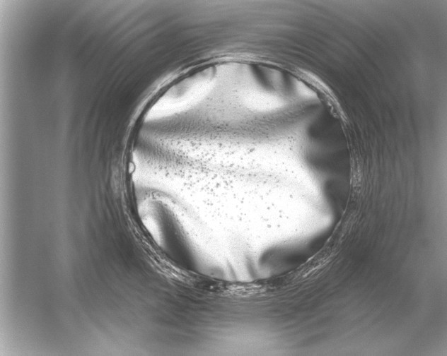 X0000051921146200507222128