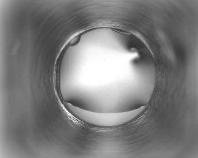 X0000051921147200507222128