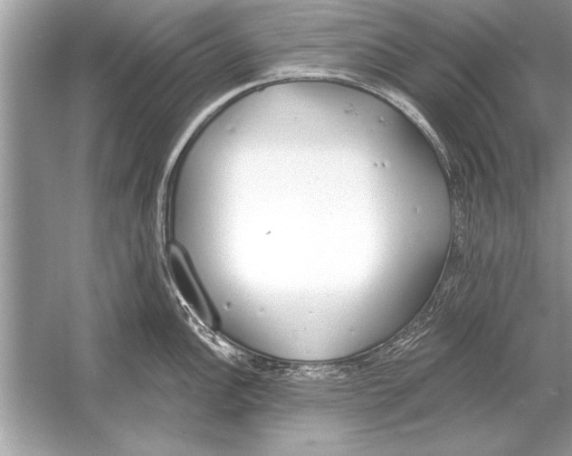 X0000051921148200507222128