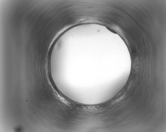 X0000051921149200507222128