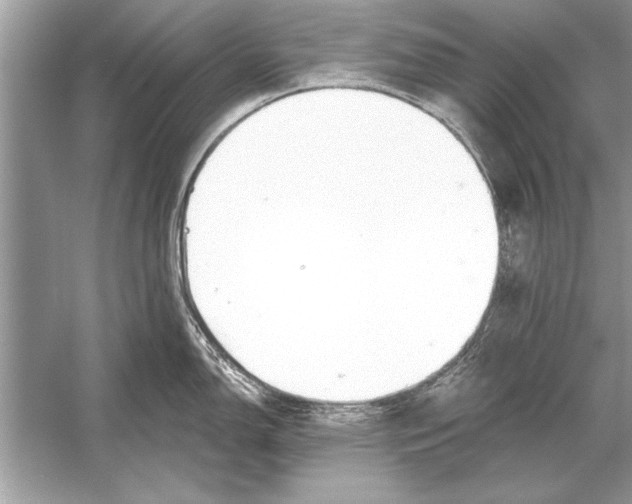 X0000051921150200507222128