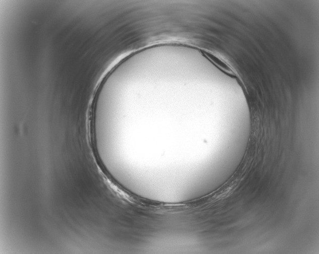 X0000051921151200507222128