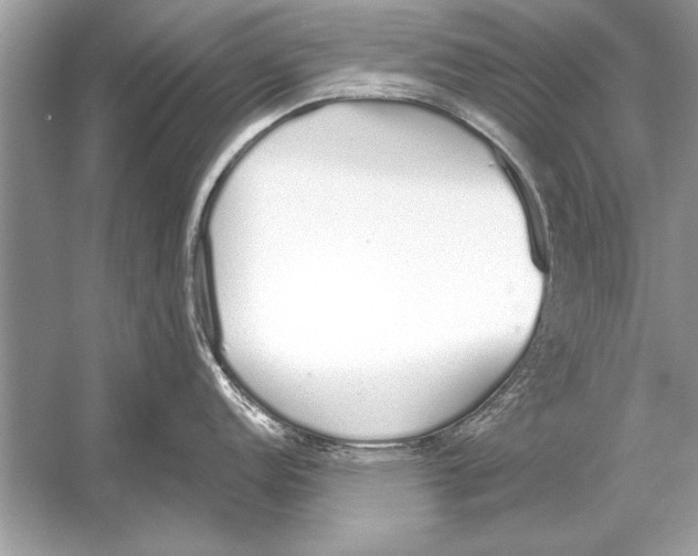 X0000051921152200507222128