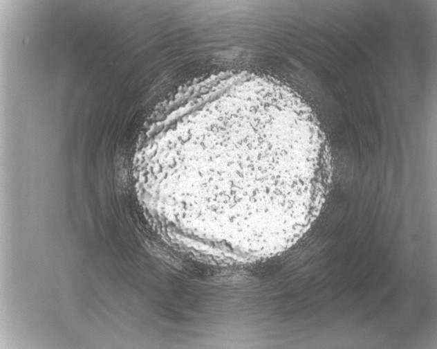 X0000051921154200507222127