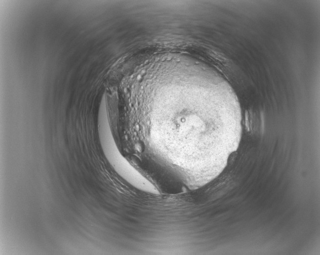 X0000051921155200507222127