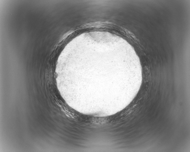 X0000051921158200507222127