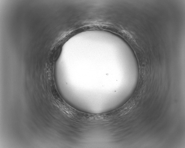 X0000051921159200507222127