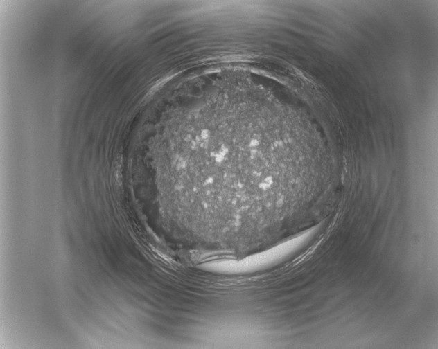 X0000051921161200507222127