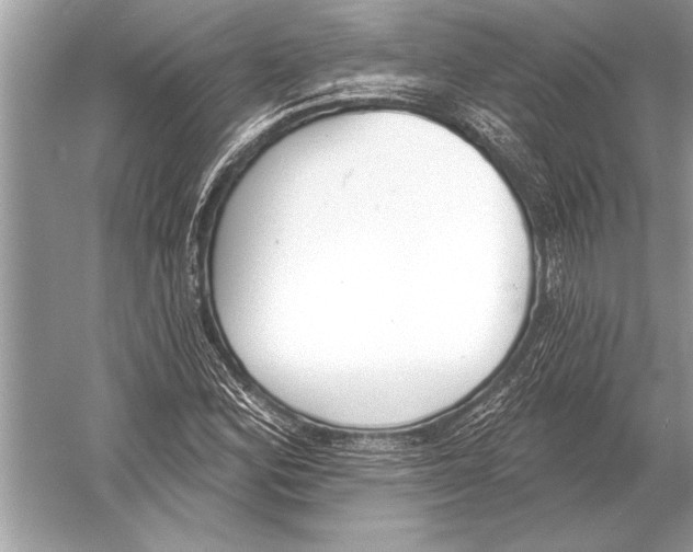 X0000051921164200507222127