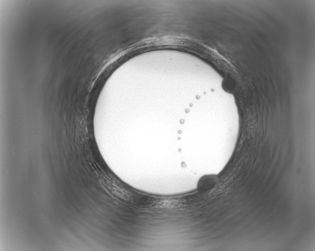 X0000051921166200507222127