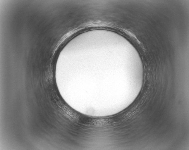 X0000051921167200507222127