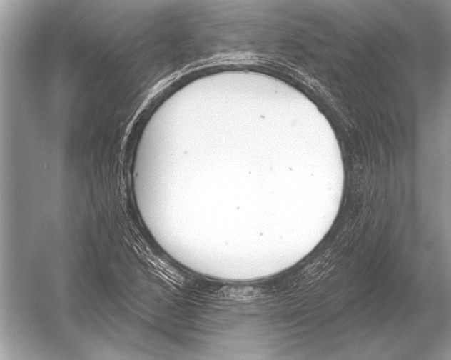 X0000051921168200507222127