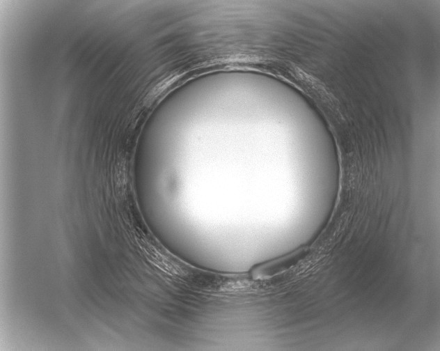 X0000051921169200507222127