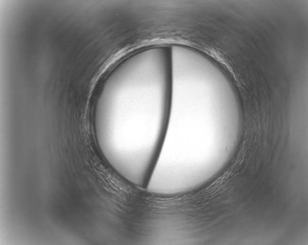 X0000051921173200507222126